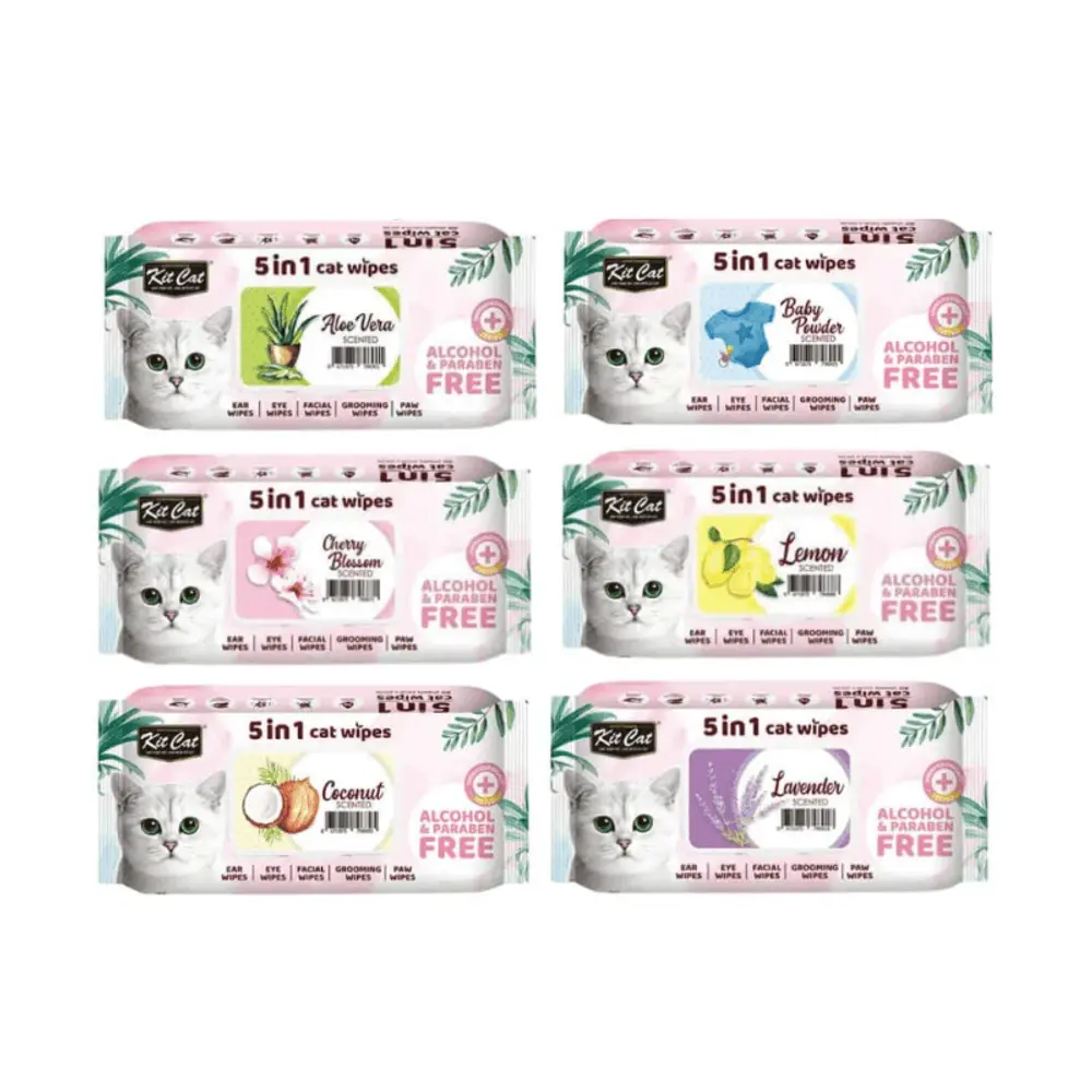 Ảnh sản phẩm Khăn Giấy Ướt Kháng Khuẩn, Tắm Khô Cho Mèo Kit Cat (80 Miếng)