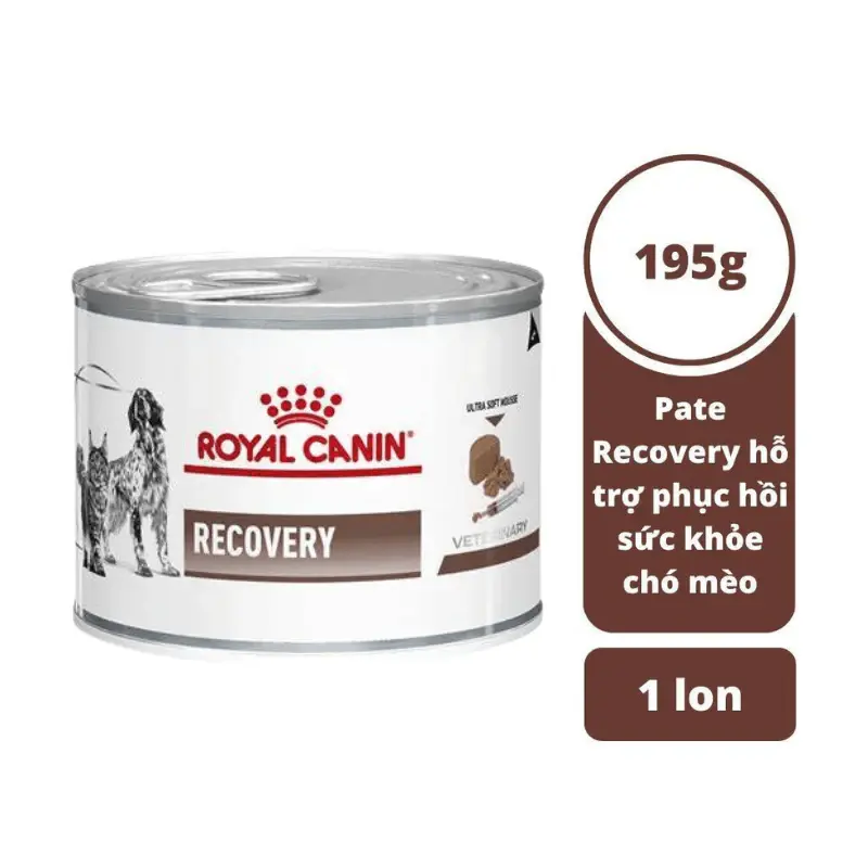 Ảnh sản phẩm Pate Cho Chó Mèo Cần Phục Hồi Sức Khoẻ Royal Canin RECOVERY Lon 195g, Dạng Nhuyễn