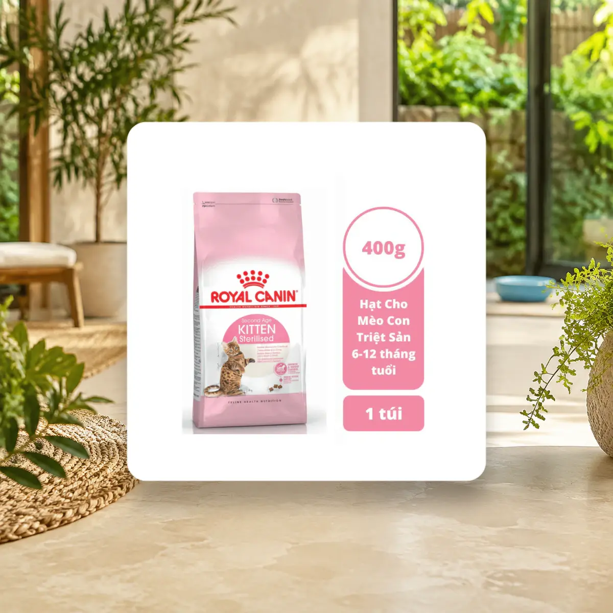 Ảnh sản phẩm 400g / 2Kg - Thức Ăn Hạt Cho Mèo Con Royal Canin KITTEN - Cho Mèo Dưới 12 Tháng Tuổi