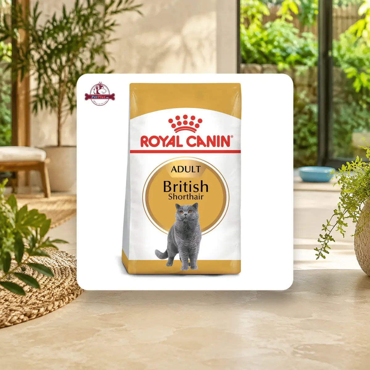 Ảnh sản phẩm 400g / 2kg - Thức Ăn Hạt Cho Mèo Royal Canin British Shorthair Adult - Cho Mèo Anh Lông Ngắn Trưởng Thành