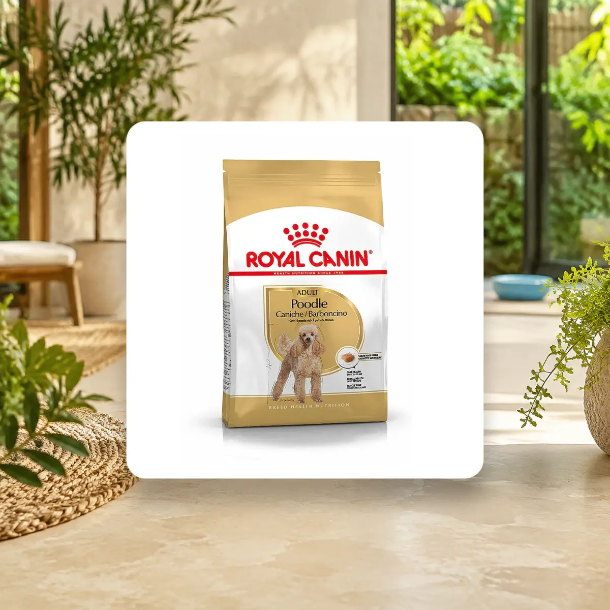 Ảnh sản phẩm 500g / 1.5Kg Thức Ăn Hạt Cho Chó Poodle Trưởng Thành Royal Canin Poodle Adult Lông Khỏe Mạnh