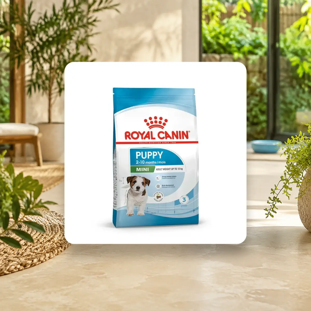Ảnh sản phẩm 800g / 2kg - Thức Ăn Hạt Cho Chó Con Royal Canin MINI PUPPY - Chó size Nhỏ <10 tháng