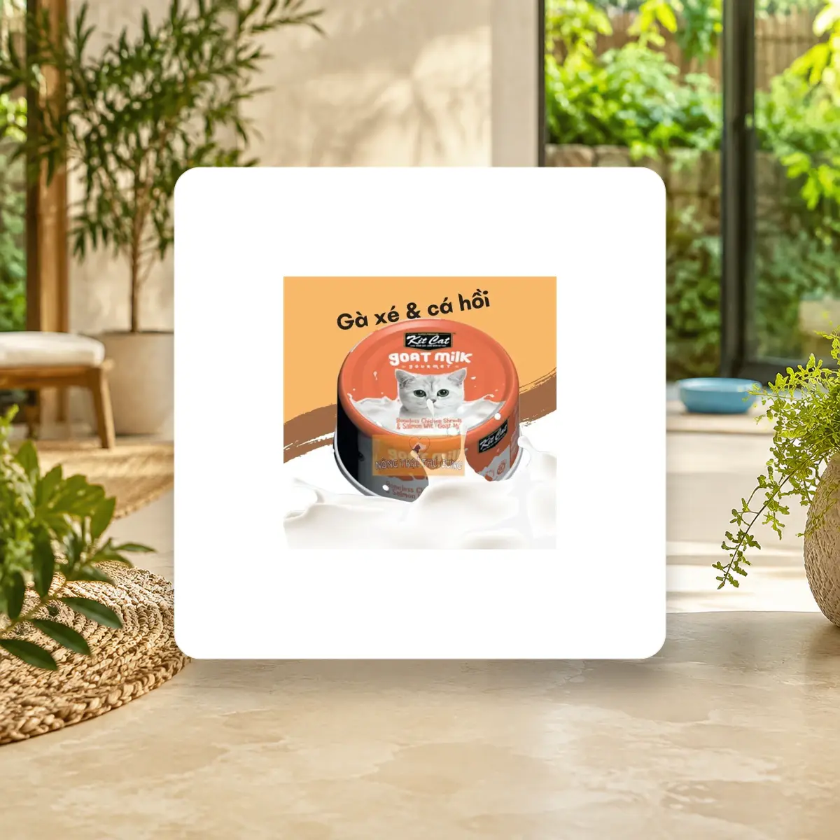 Ảnh sản phẩm Pate Sữa Dê Cho Mèo Kit Cat Goat Milk Lon 70gr, Mọi Lứa Tuổi, Dễ Tiêu Hoá