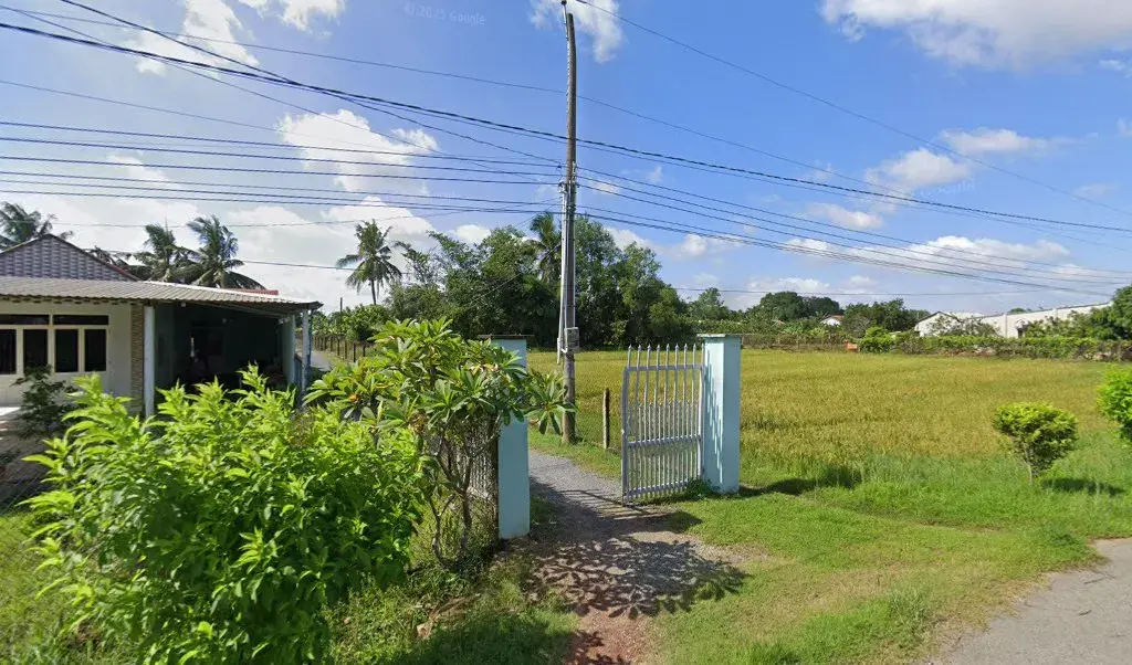 Hình ảnh Bác sĩ Thú y điều trị chó, mèo
