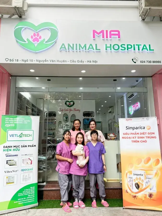 Hình ảnh Bệnh viện thú cưng MIA - MIA Animal Hospital