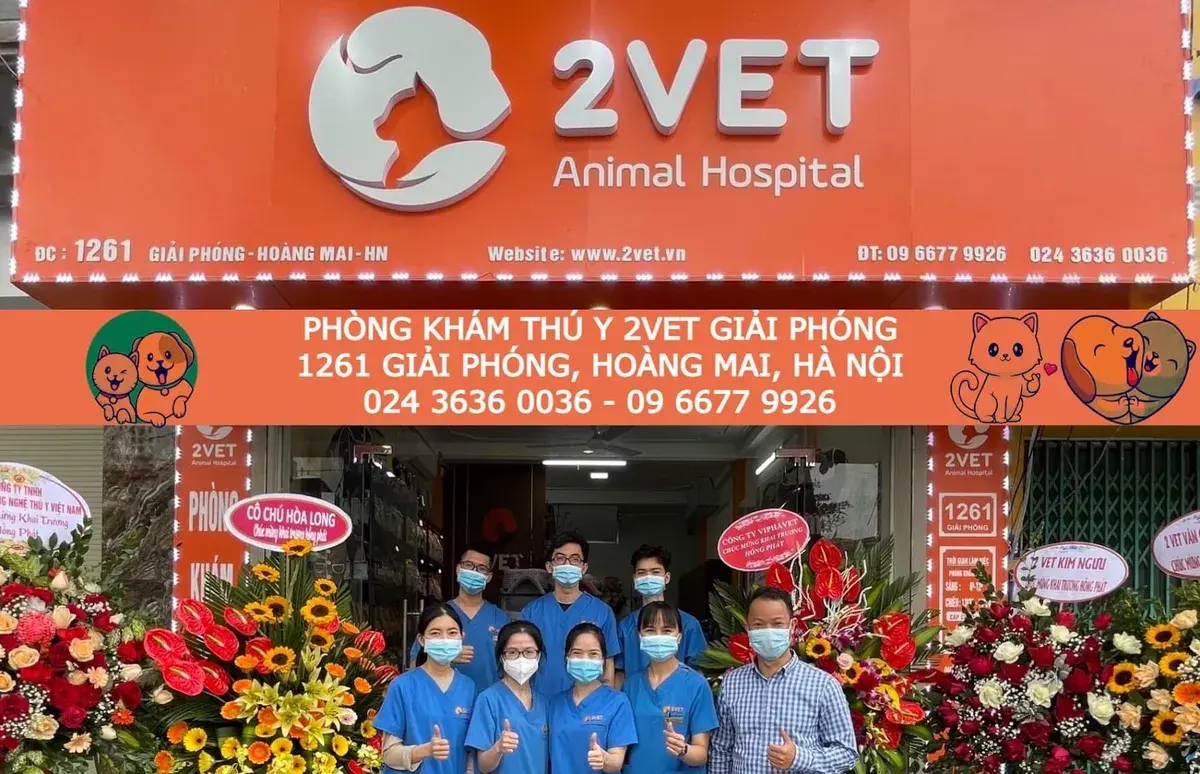 Hình ảnh Bệnh viện Thú y 2Vet Giải Phóng