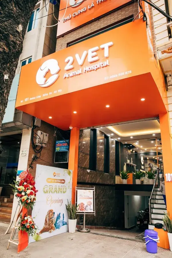 Hình ảnh Bệnh Viện Thú Y 2Vet Đống Đa-101 Đường Láng (Ngã Tư Sở) 2vet Animal Hospital