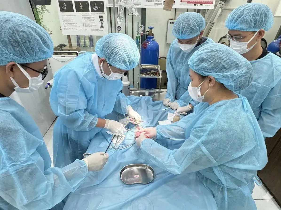 Hình ảnh Bệnh Viện Thú Y Bình Dân Cutpet | Animal Hospital | Cấp Cứu 24/7