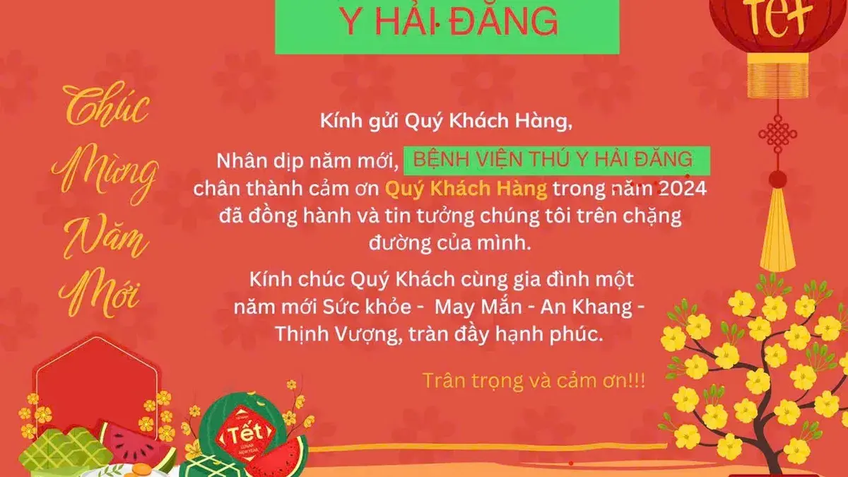 Hình ảnh Bệnh Viện Thú Y Hải Đăng