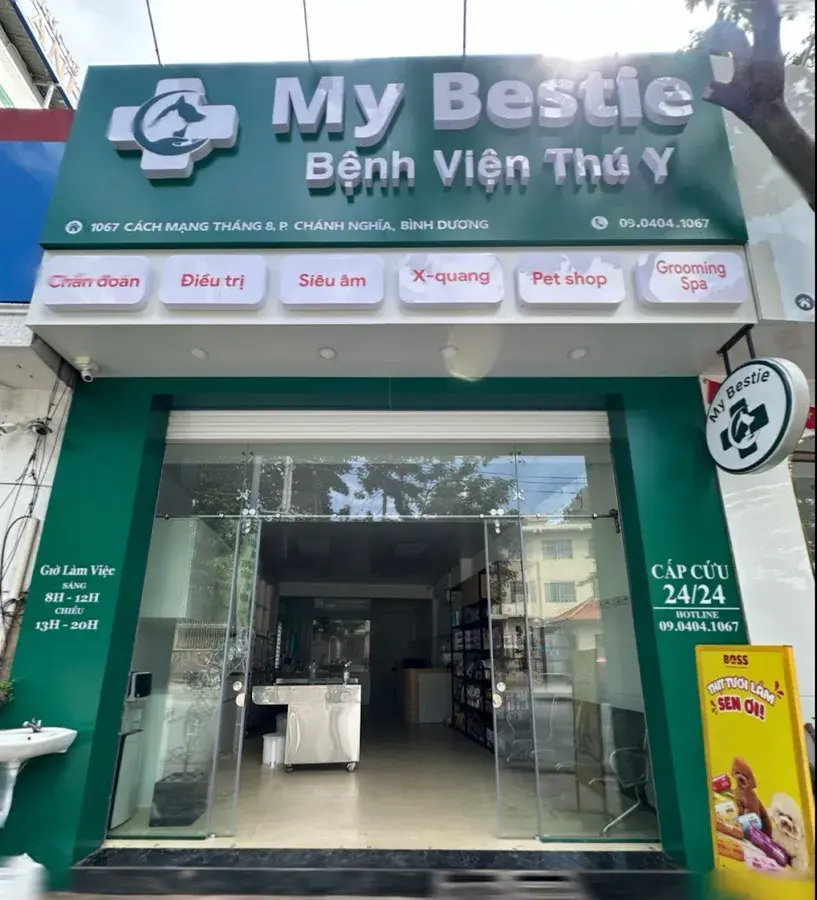 Hình ảnh Bệnh Viện Thú Y My Bestie Thủ Dầu Một | Cấp Cứu 24/24 | Điều Trị – Triệt Sản | Spa Grooming – Pet Shop Bình Dương