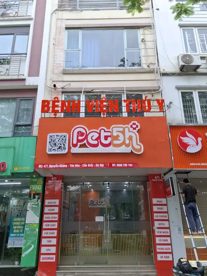 Hình ảnh Bệnh viện thú y Pet5H Cầu Giấy - Pet5H Animal Hospital