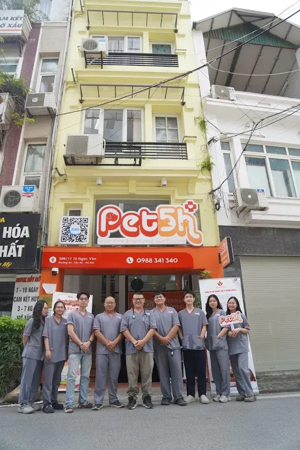 Hình ảnh Bệnh viện Thú y Pet5H Tây Hồ - Pet5H Animal Hospital