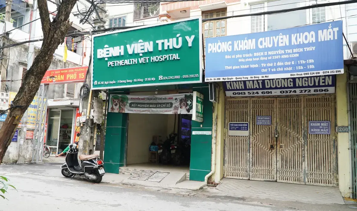 Hình ảnh Bệnh viện thú y PetHealth Hà Đông