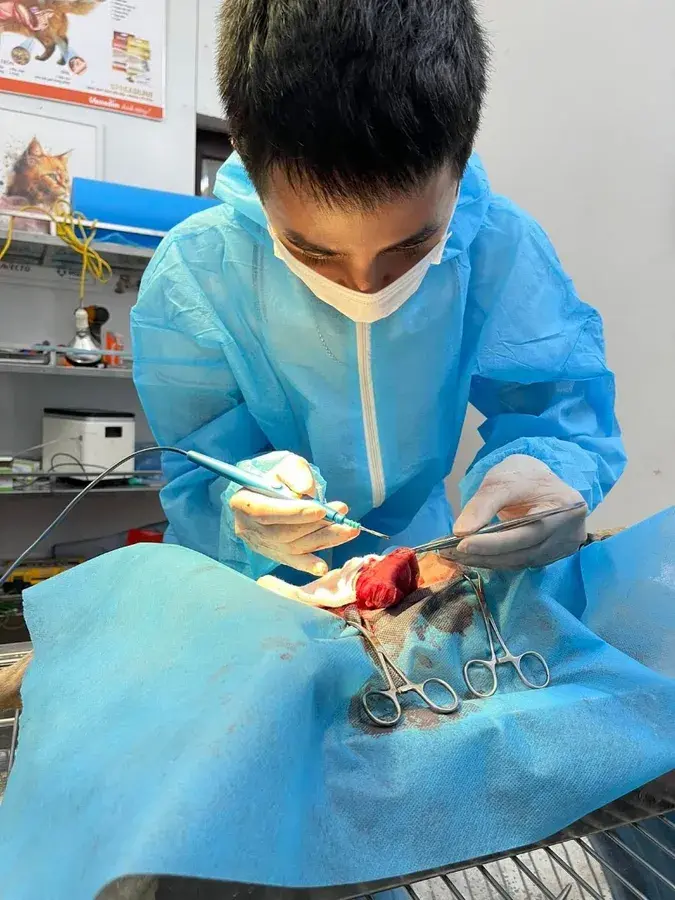 Hình ảnh Bệnh Viện Thú Y Petlife Hoài Đức