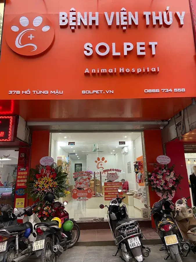 Hình ảnh Bệnh Viện Thú Y Solpet Hồ Tùng Mậu