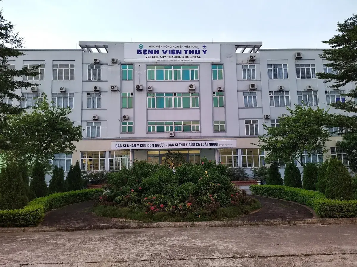 Hình ảnh Bệnh Viện Thú Y VNUA