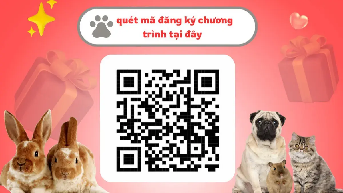 Hình ảnh Bệnh Viện Thú Y Winpet 24h - Animal Hospital