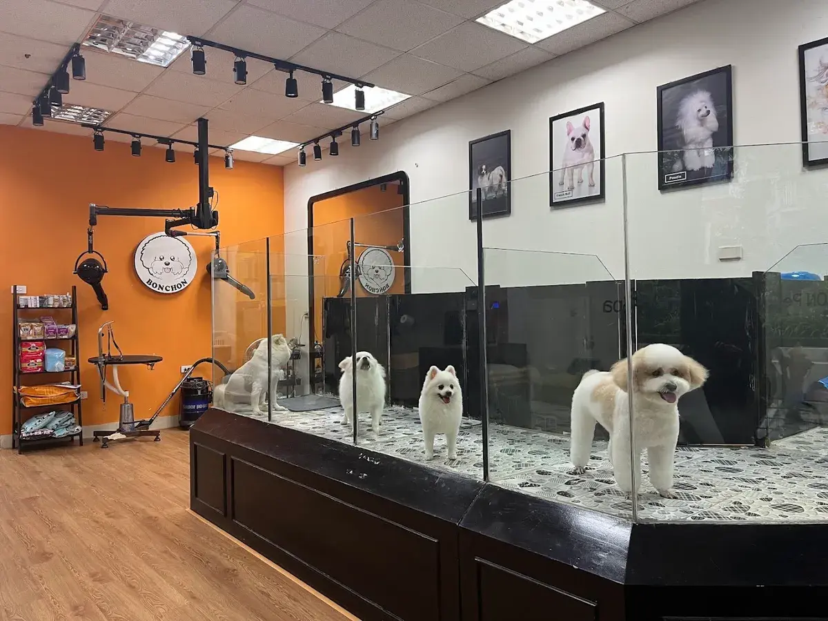 Hình ảnh Bonchon Pet Spa and Hotel