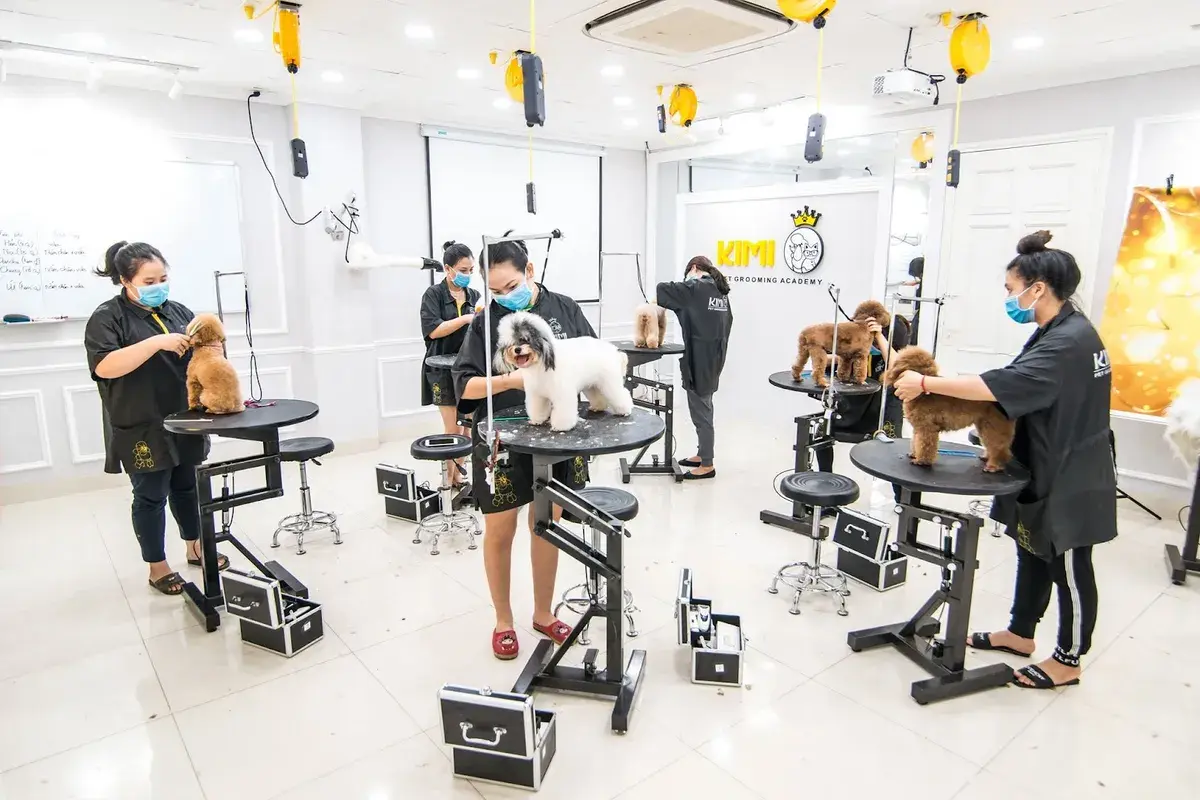 Hình ảnh Cắt Tỉa Lông Chó Mèo - KIMI PET Grooming Salon