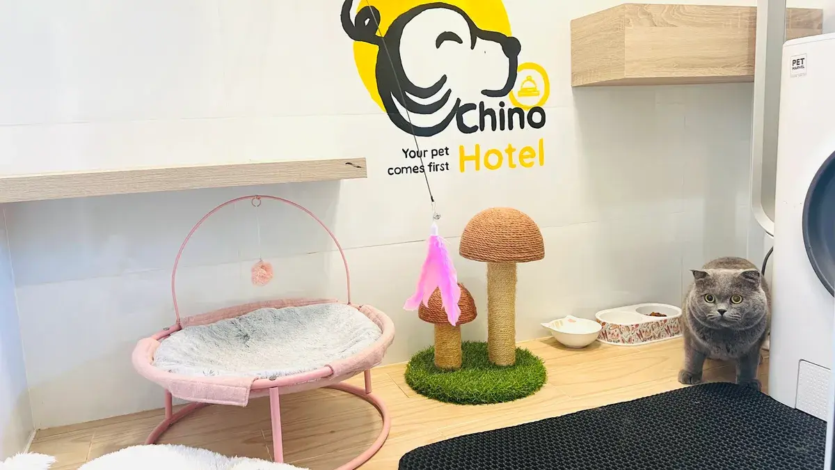 Hình ảnh Chinopet - Your Pet Comes First