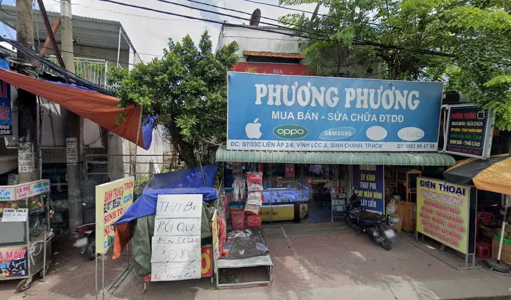 Hình ảnh Dịch Vụ Thú Y Huyện Bình Chánh