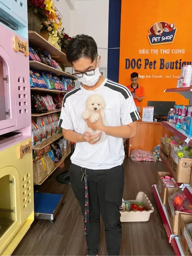 Hình ảnh Dog Pet Boutique