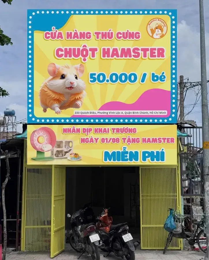 Hình ảnh Hamster Kingdom Bình Chánh - Chuột Hamster & Phụ Kiện