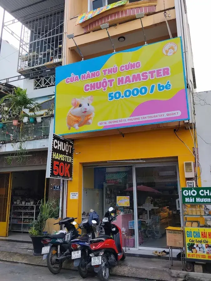 Hình ảnh HAMSTER KINGDOM QUẬN 7 - CHUỘT HAMSTER & PHỤ KIỆN