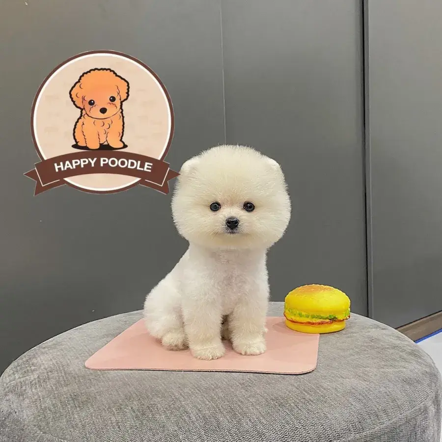 Hình ảnh Happy Poodle Shop