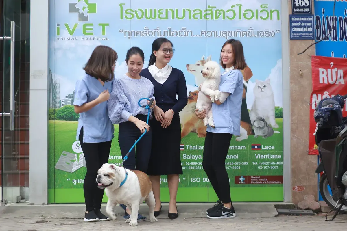 Hình ảnh iVET