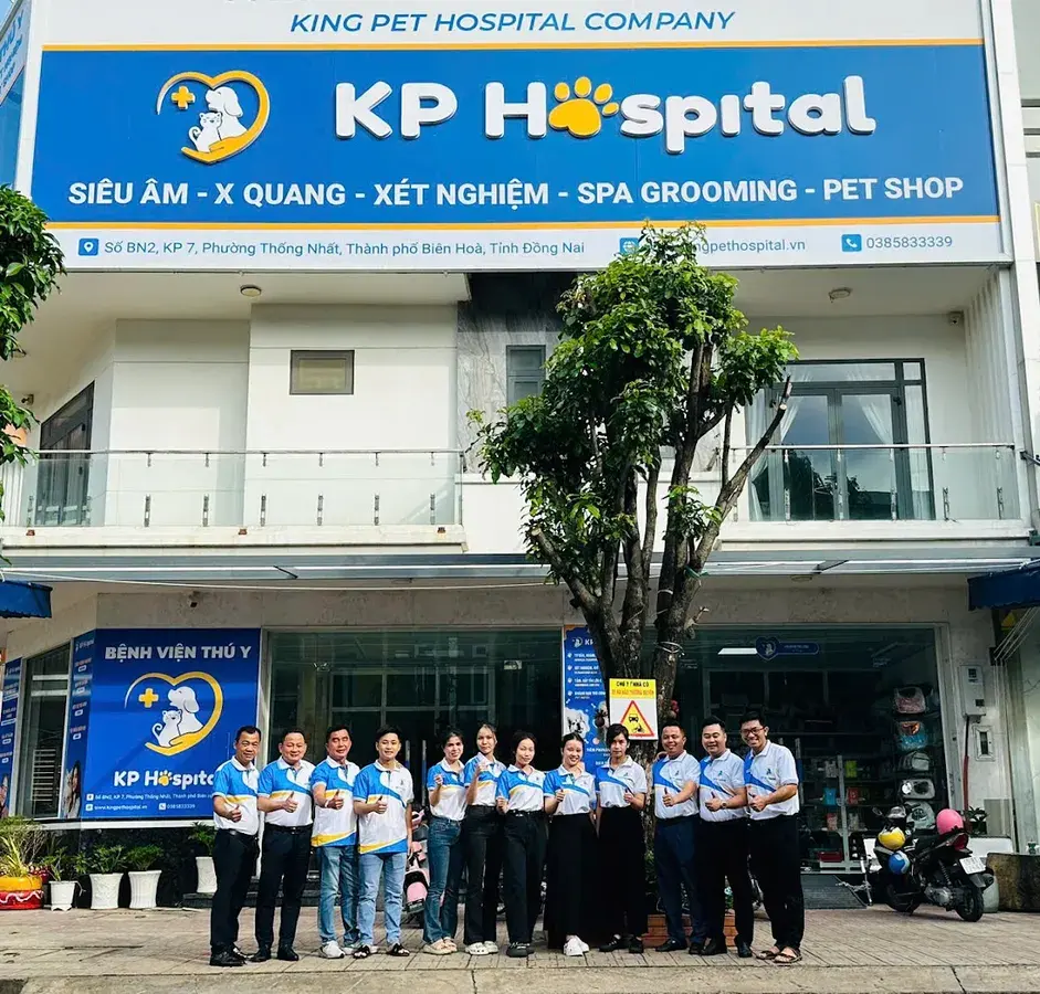 Hình ảnh Kingpet Hospital