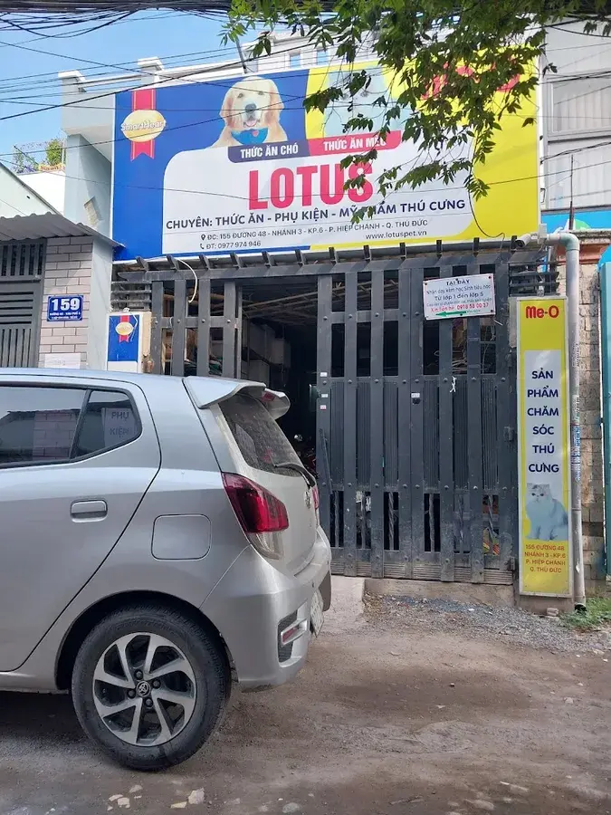 Hình ảnh Lotus - Pet Shop Thủ Đức