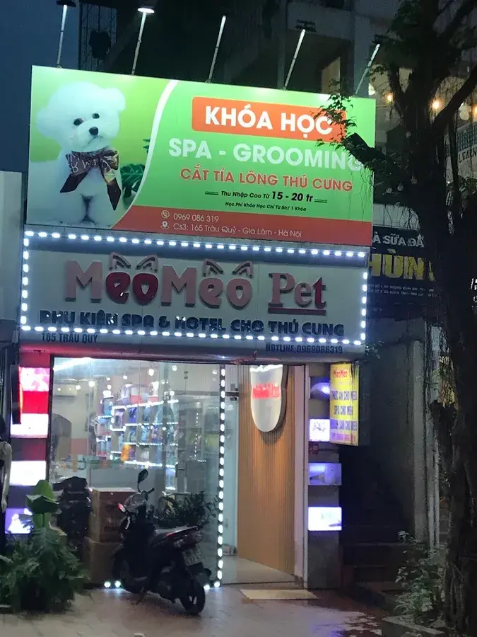 Hình ảnh Miu Miu Pet Trâu Quỳ