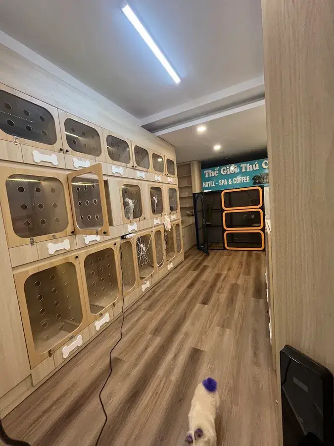 Hình ảnh Pawie Pethouse - Khách Sạn Thú Cưng Quận Bình Thạnh