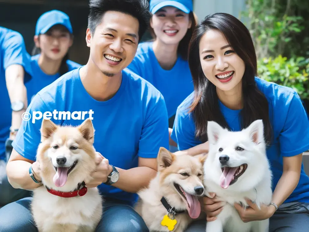 Hình ảnh Pet Hotel - Khách sạn trông giữ chó mèo TP.HCM