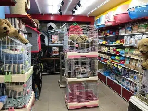 Hình ảnh Pet Star