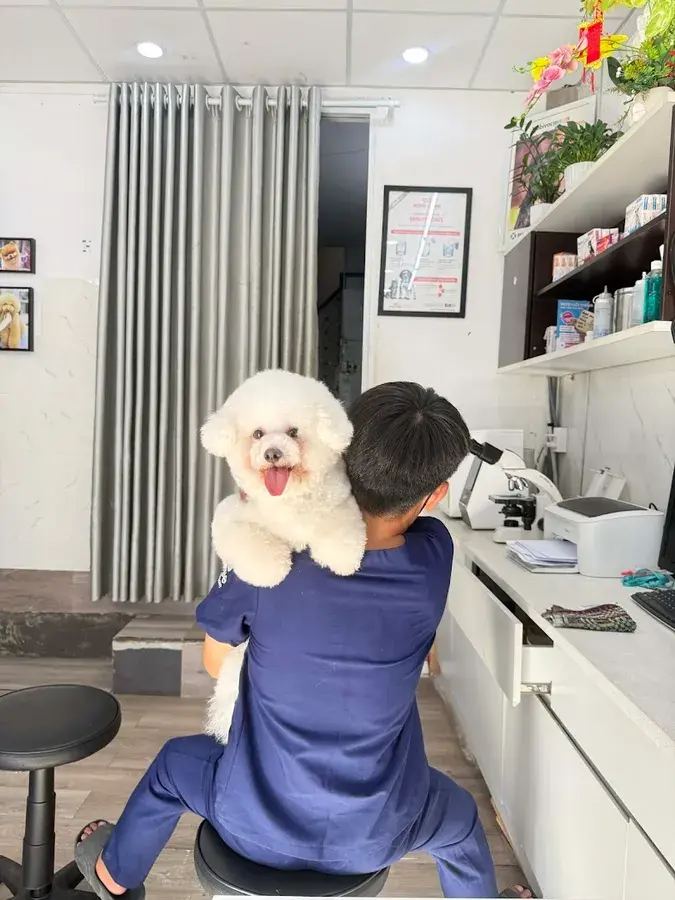 Hình ảnh Phòng Khám & Chăm Sóc Thú Cưng Belwee 552 Lê Đức Thọ P.17 Q.Gò Vấp(Chi nhánh 4)