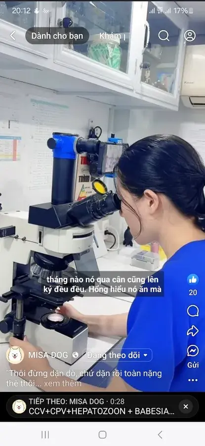 Hình ảnh Phòng khám Misadog