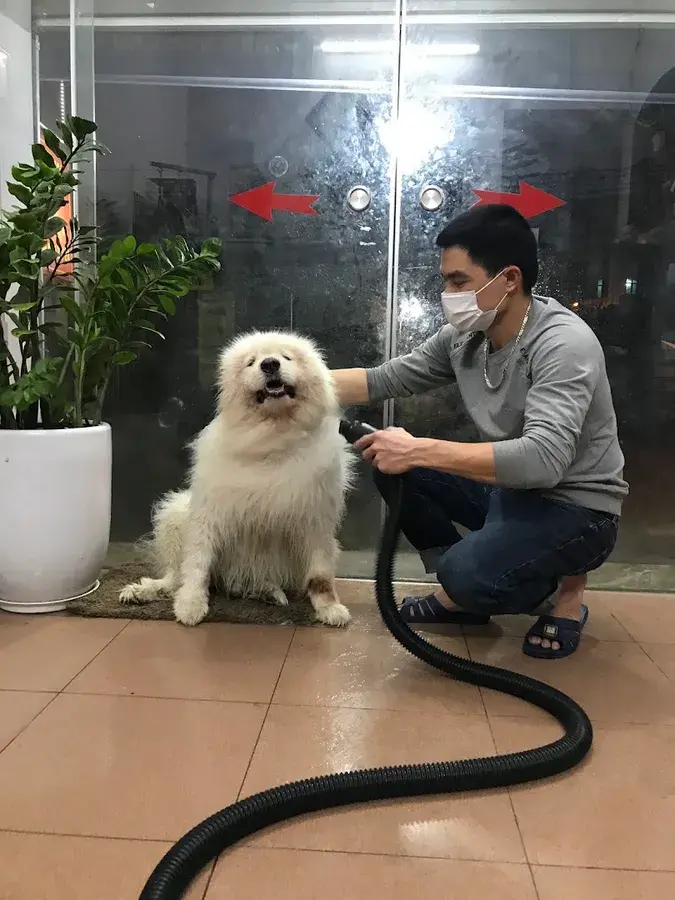 Hình ảnh Phòng Khám Thú Cưng Chung Hoè - 138 Ỷ La