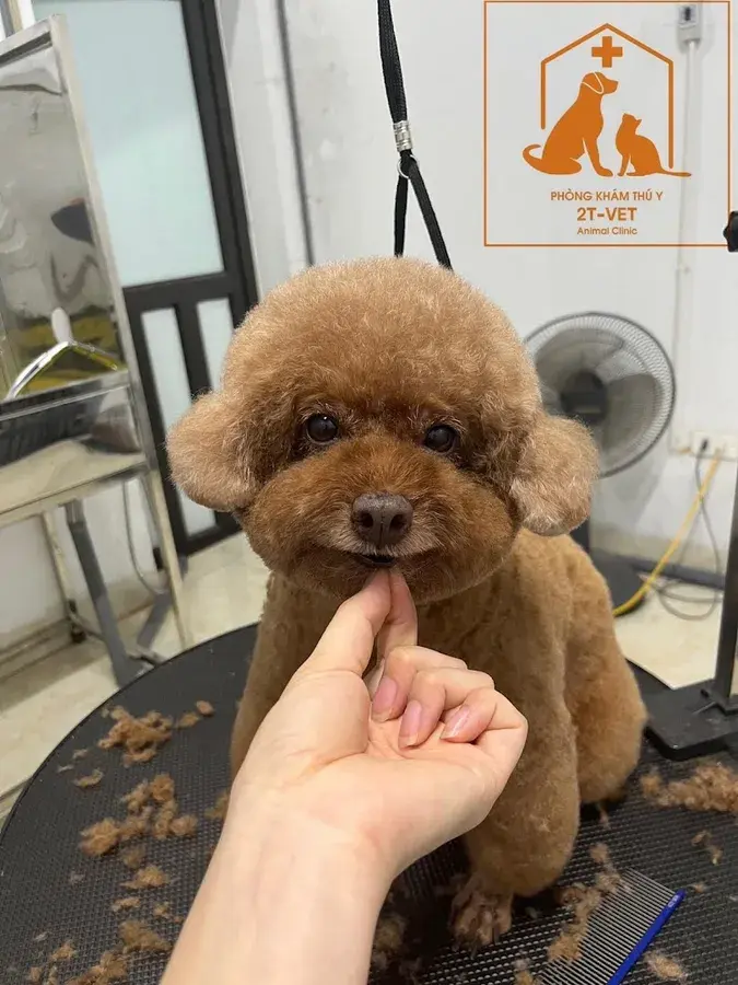 Hình ảnh Phòng Khám Thú Y 2T Vet