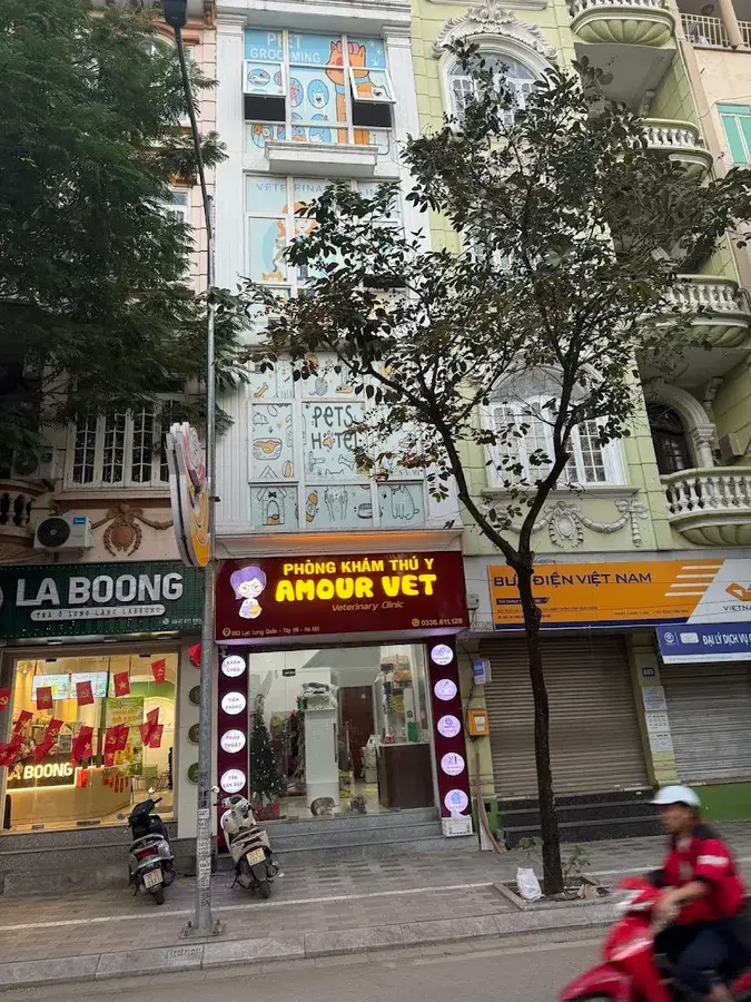 Hình ảnh Phòng khám thú y Amour Vet