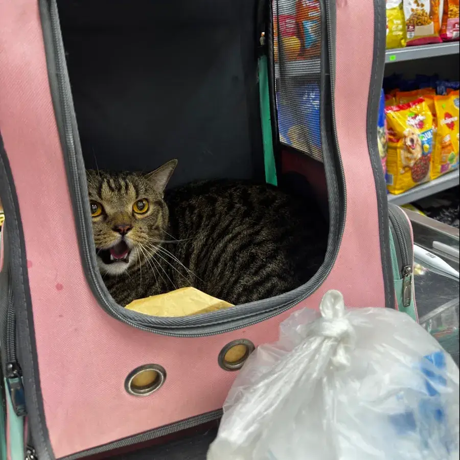 Hình ảnh Phòng khám thú y