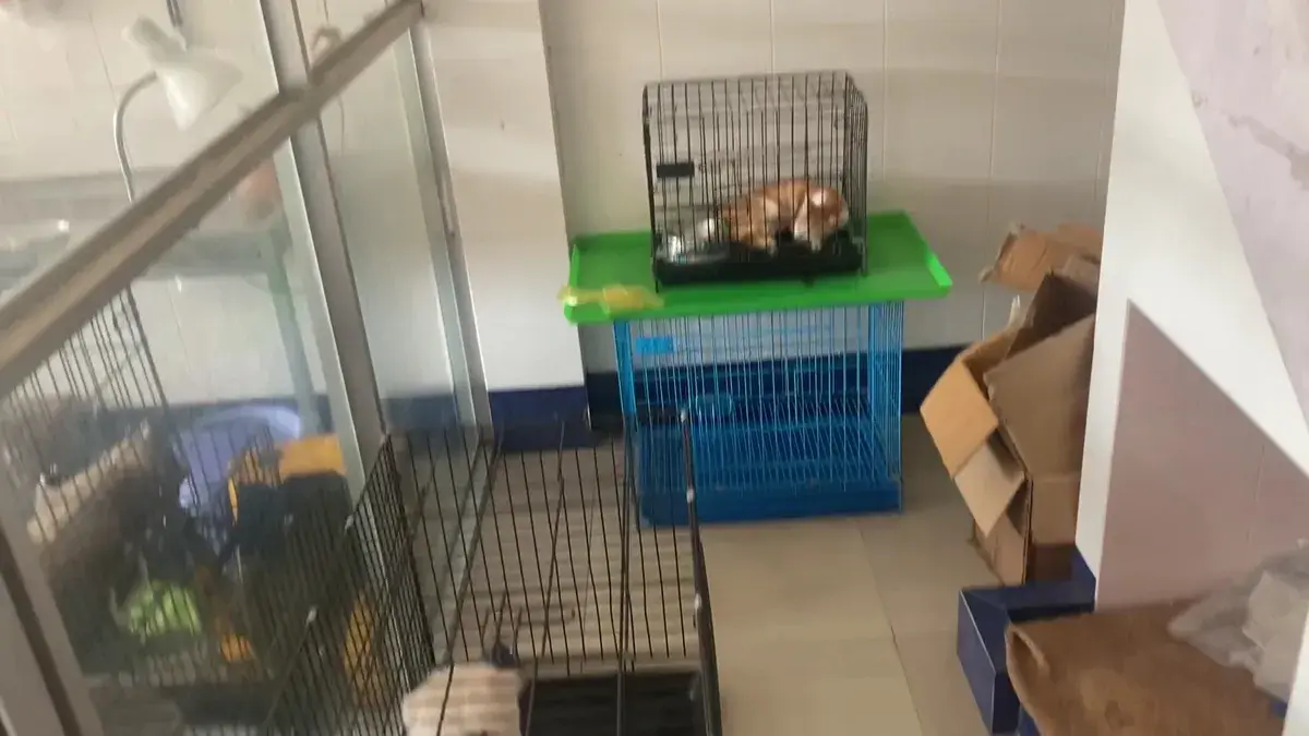 Hình ảnh Phòng khám thú y Fod Pet 2