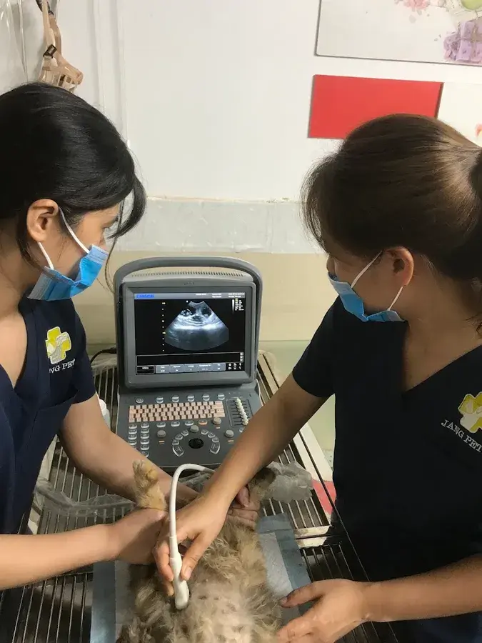 Hình ảnh Phòng khám Thú y Jang Pet