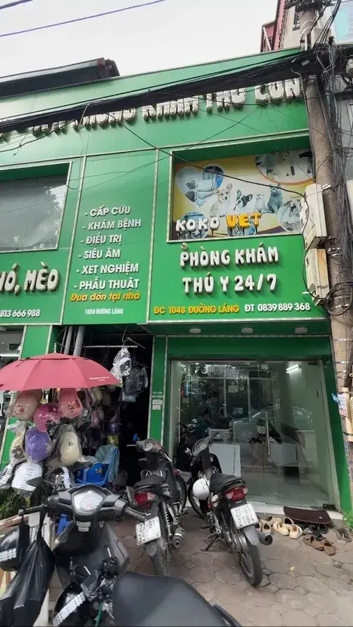 Hình ảnh Phòng Khám Thú Y KoKoVet