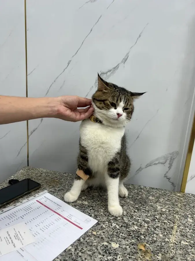 Hình ảnh Phòng Khám Thú Y Sen Vet