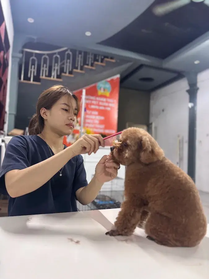 Hình ảnh Phòng Khám Thú Y Sky Pet