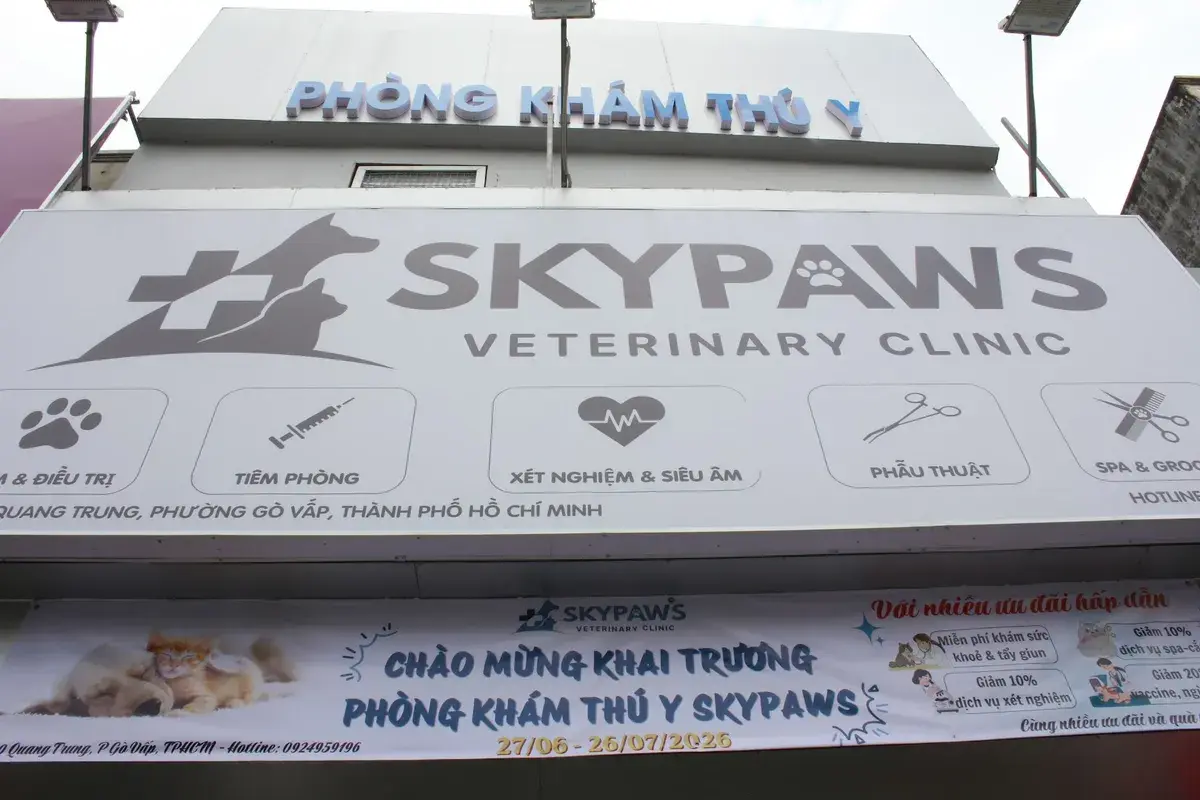 Hình ảnh Phòng Khám Thú Y Skypaws