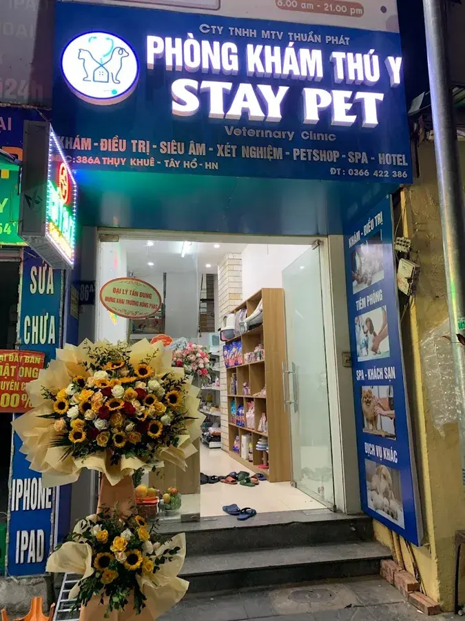 Hình ảnh Phòng Khám Thú Y StayPet - 386 Thuỵ Khuê