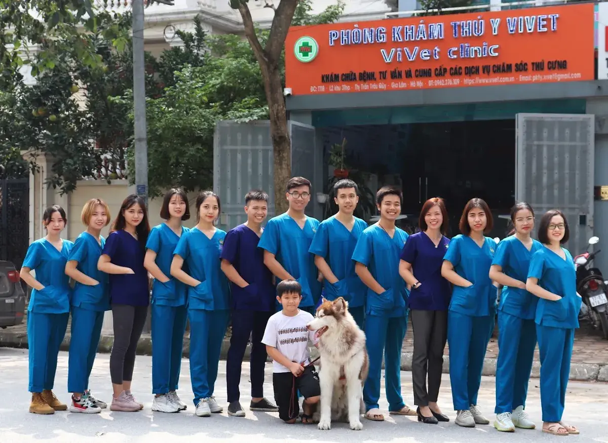 Hình ảnh PHÒNG KHÁM THÚ Y VIVET